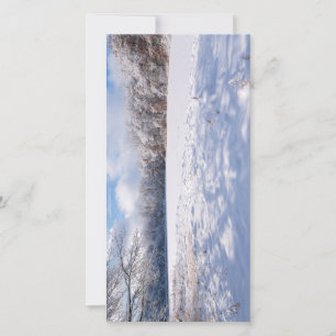 Salem Hills Pond and Forest Winter Landscape