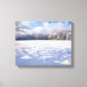 Salem Hills Pond and Forest Winter Landscape Canvas Print