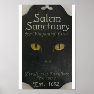 Salem Sanctuary Poster