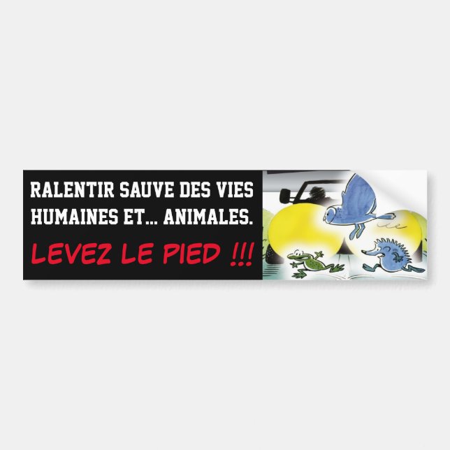 SALENTING HUMAN AND ANIMAL LIVES BUMPER STICKER (Front)