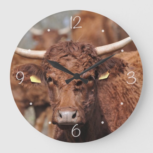 Salers brown horned cow large clock (Front)