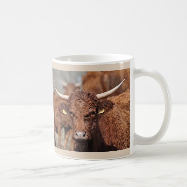 Salers cow mug (Right)