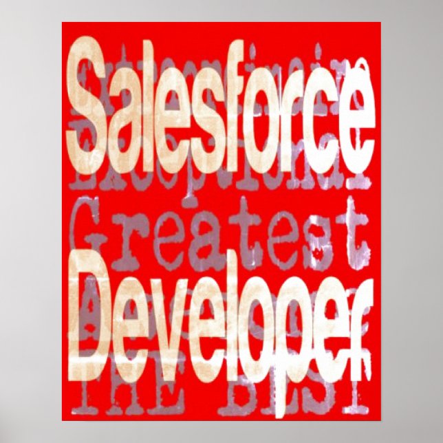 Salesforce Developer Extraordinaire Poster (Front)