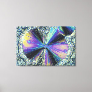 Salicylic Acid Crystals Viewed in Polarised Light Canvas Print
