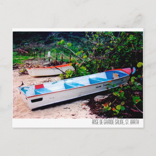 Saline Beach, St. Barts Postcard (Front)