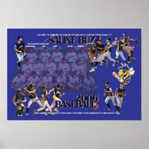Saline Buzz Baseball 2006 Poster