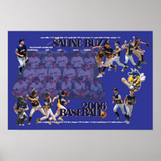 Saline Buzz Baseball 2006 Poster