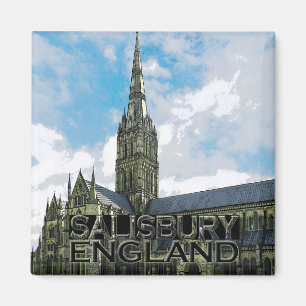 Salisbury Magnet