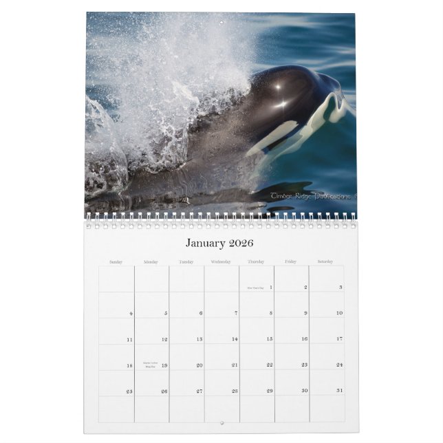 Salish Sea Wildlife 2012 Calendar (Jan 2026)
