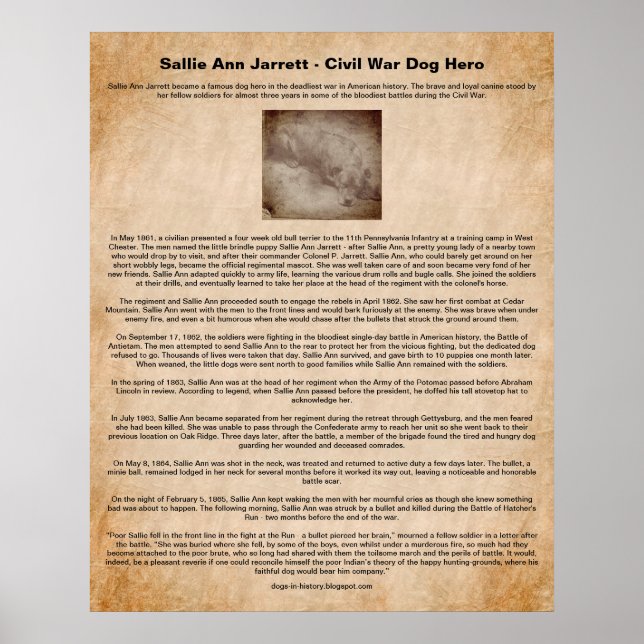 Sallie Ann Jarrett, Civil War Dog Hero Poster (Front)