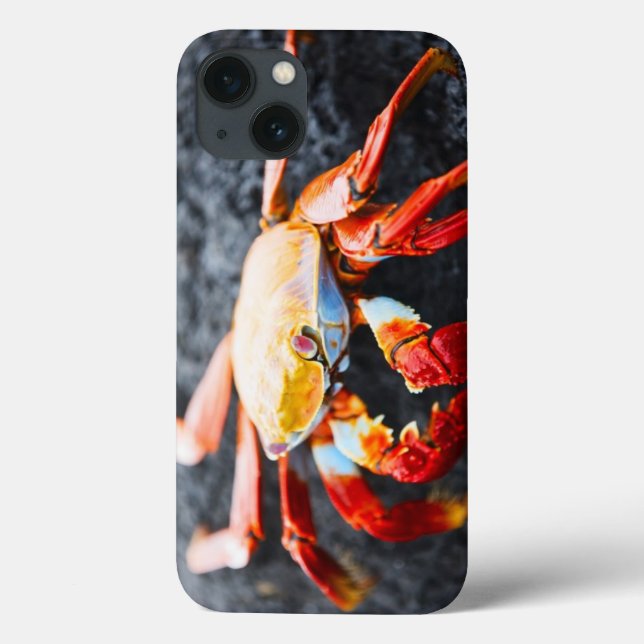 Sally lightfoot crab on a black lava rock Case-Mate iPhone case (Back)