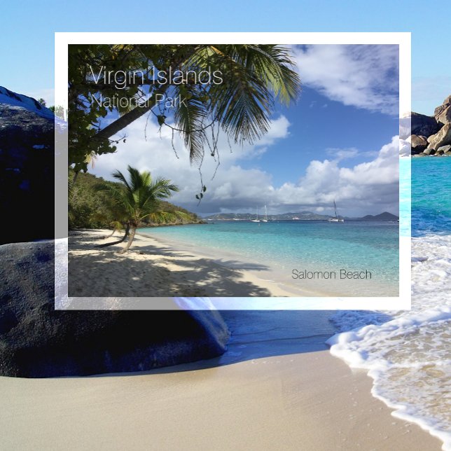 Salmon Beach, Palms, Virgin Islands National Park Postcard (Creator Uploaded)