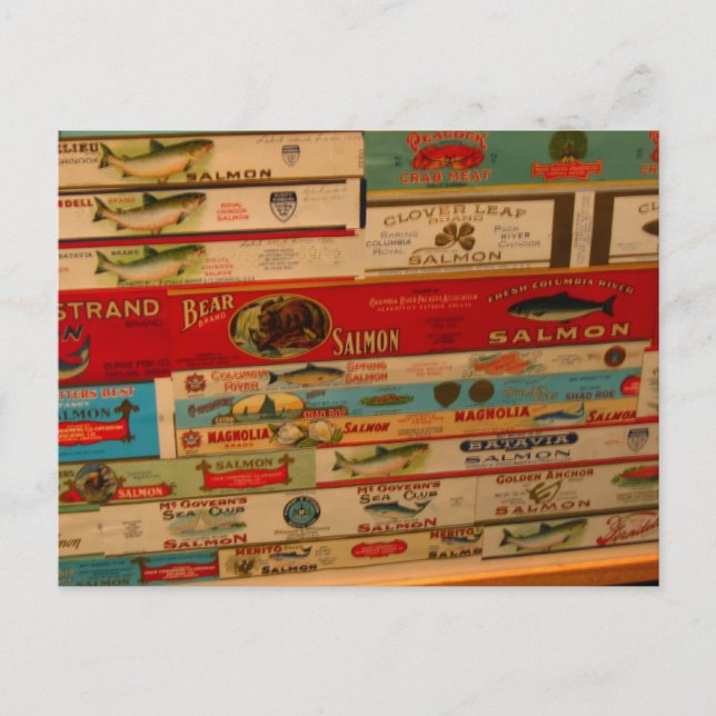Salmon Cans Vintage Postcard (Front)