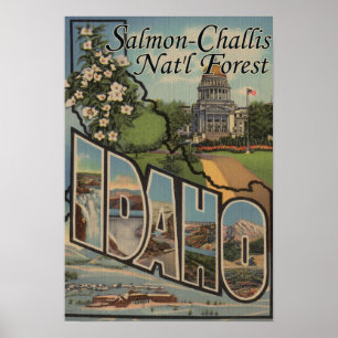 Salmon-Challis Nat'l Forest, Idaho Poster
