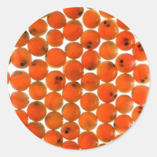 Salmon Egg Classic Round Sticker