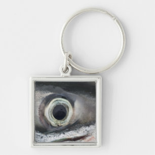 Salmon Eye Key Ring