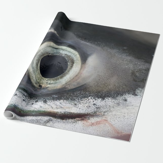 Salmon Eye Wrapping Paper (Unrolled)