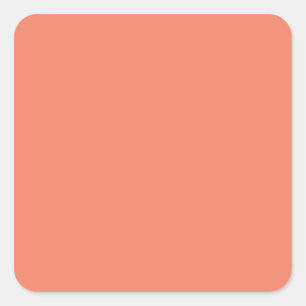 Salmon #F38367, Pink Daisy Square Sticker