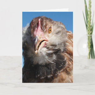 Salmon Faverolle Pullet, Birthday Card