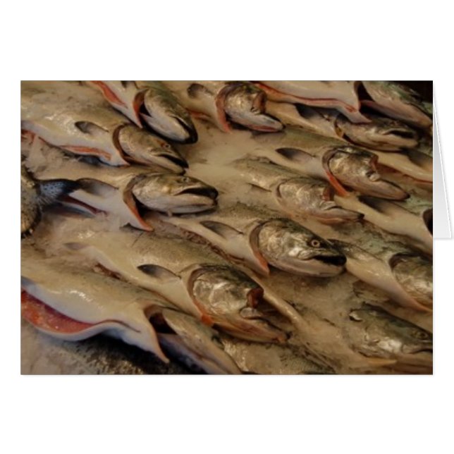 salmon heads (Front Horizontal)
