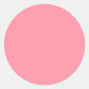 Salmon Pink Designer Solid Colour Classic Round Sticker