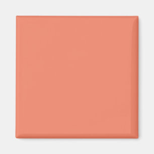 Salmon Pink Magnet Chic Minimalist Decor