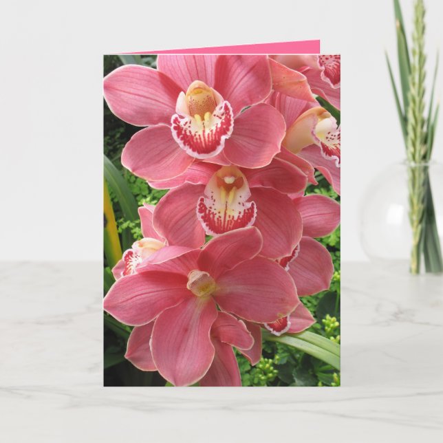 Salmon pink orchid card (Front)