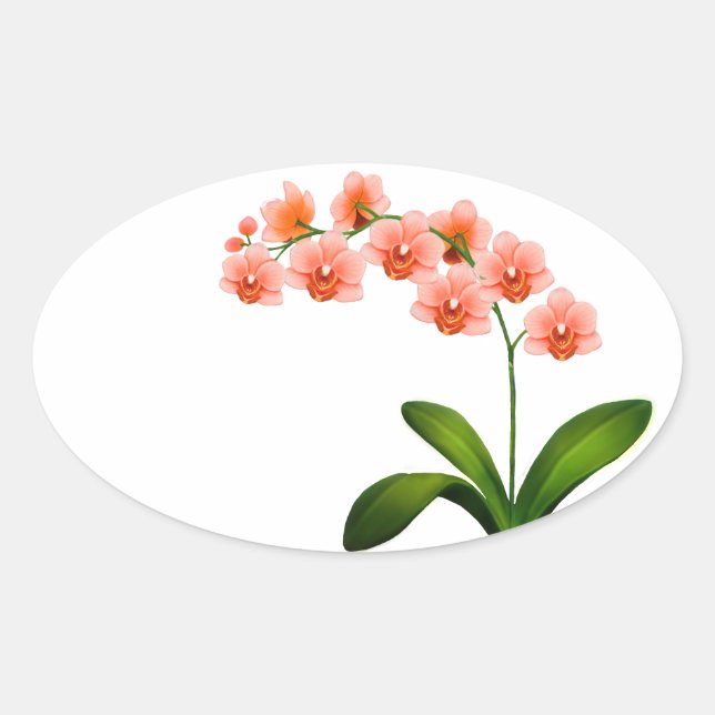 Salmon Pink Phalaenopsis Orchid Flowers Stickers (Front)