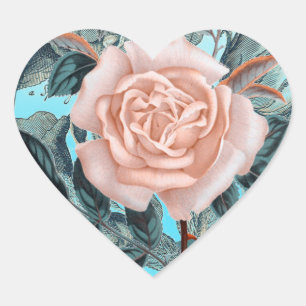 Salmon  Pink shabby rose Heart Sticker