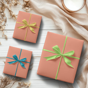 Salmon Pink Solid Colour Classic Elegant Wrapping Paper Sheet