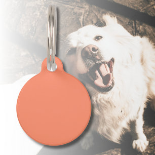 Salmon Pink Solid Colour Trendy Colour Pet Tag
