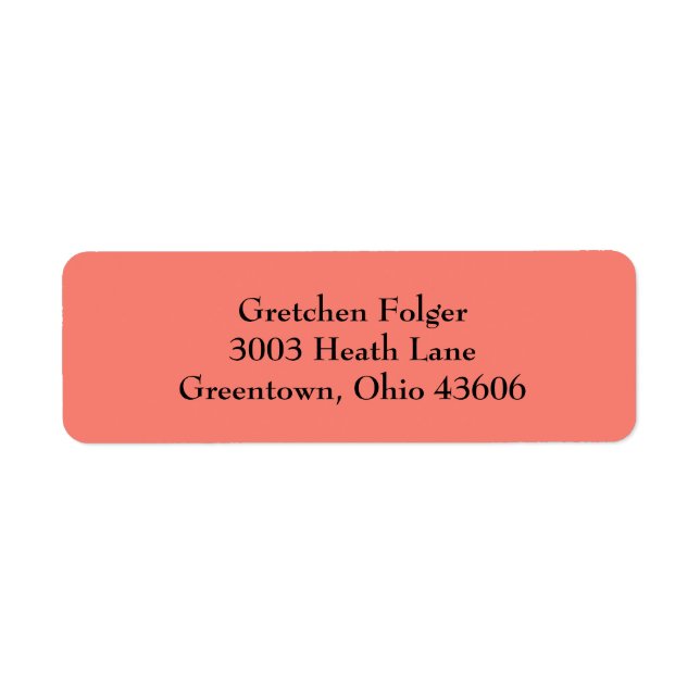 Salmon Simple Plain Return Address Labels (Front)