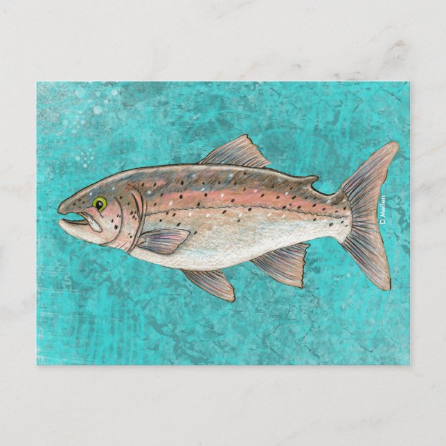 Salmon Sketch Postcard (Front)