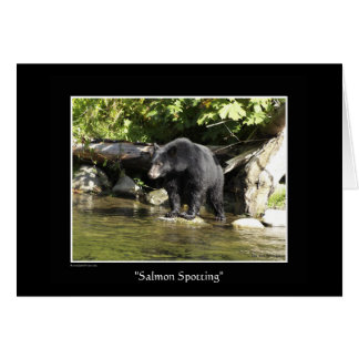 "Salmon Spotting"
