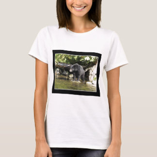 "Salmon Spotting" Black Bear Gifts T-Shirt