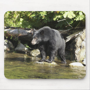 "Salmon Spotting" Mouse Pad