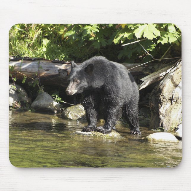 "Salmon Spotting" Mouse Pad (Front)
