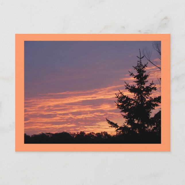 Salmon Sunrise Postcard (Front)