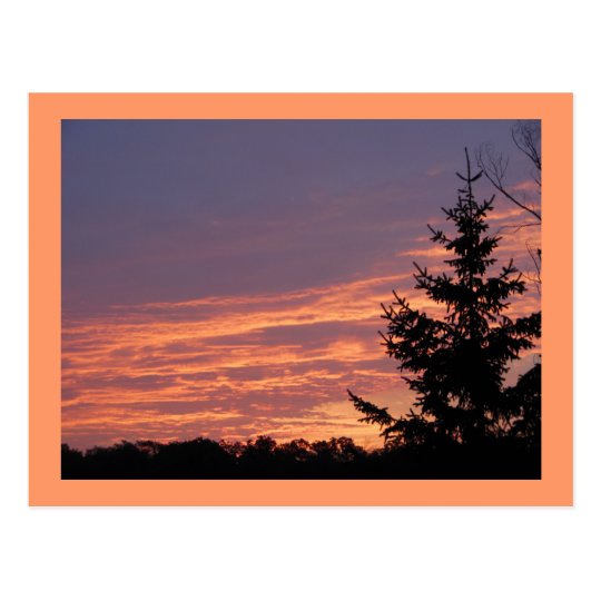 Salmon Sunrise Postcard