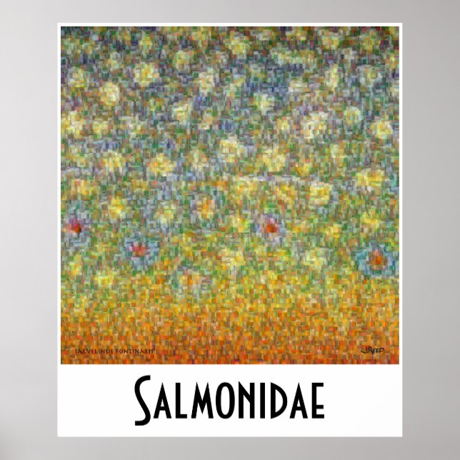 Salmonidae Skins Montage Postage Poster (Front)