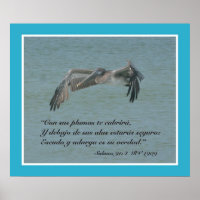 Salmos 91:4 con Pelicano Volando (Cartel)