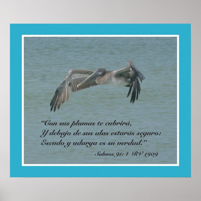 Salmos 91:4 con Pelicano Volando (Cartel) Poster (Front)