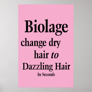 Salon Barbershop Poster Hair Dry to Dazz Biolage 