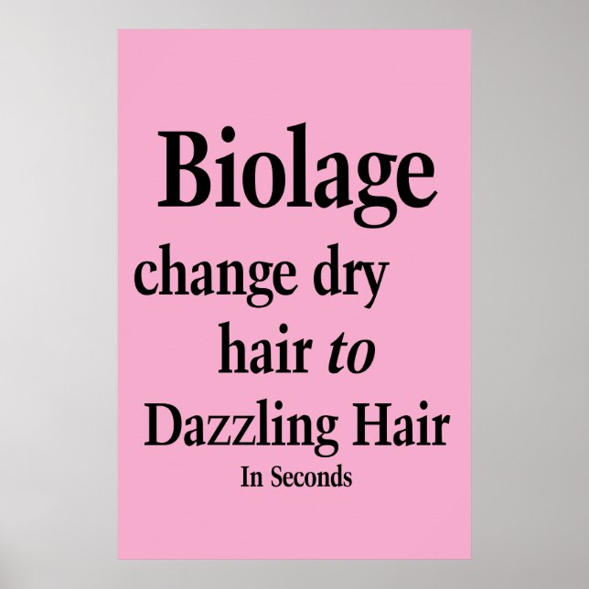 Salon Barbershop Poster Hair Dry to Dazz Biolage  (Front)