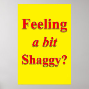 Salon Barbershop Posters Feeling a Bit Shaggy