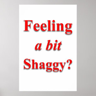 Salon Barbershop Posters Feeling a Bit Shaggy
