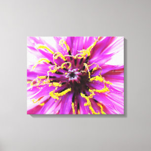 Salsify Flower Canvas Print