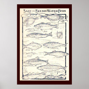 Salt and Fresh Water Fish Poster