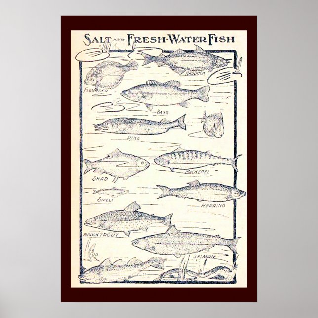 Salt and Fresh Water Fish Poster (Front)