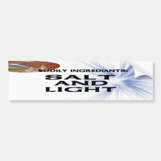 SALT AND LIGHT BS LT BUMPER STICKER